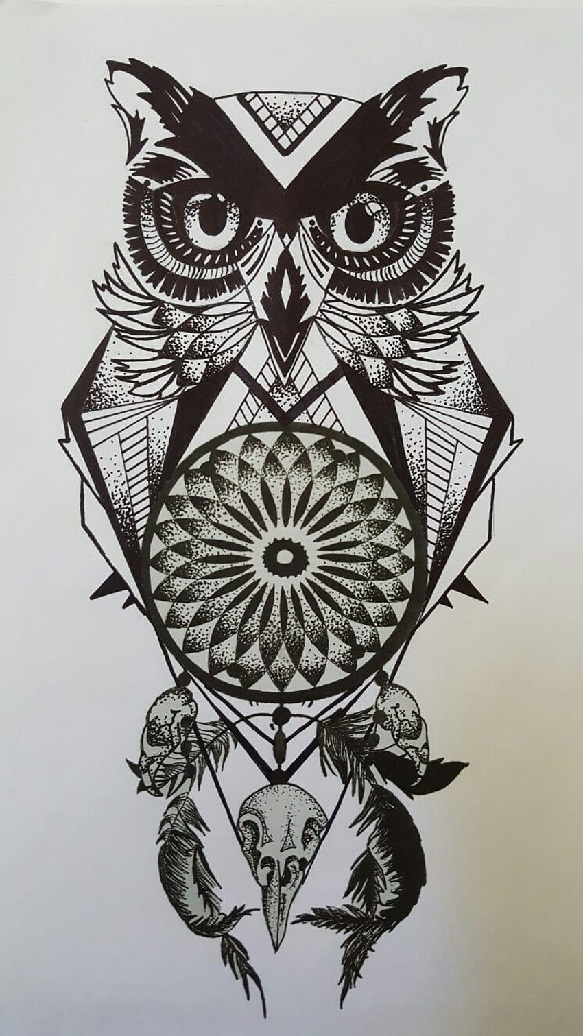 Owl Tattoo Drawing Body art Sketch Tattoo black and white owl  illustration poster vertebrate png  PNGEgg