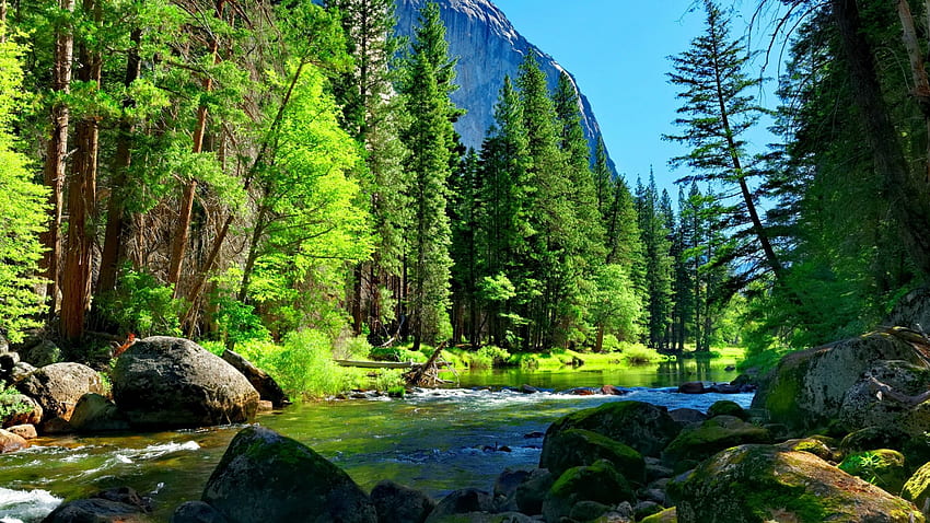 For theme: stream Page 2 , background, Rivers and Streams HD wallpaper ...