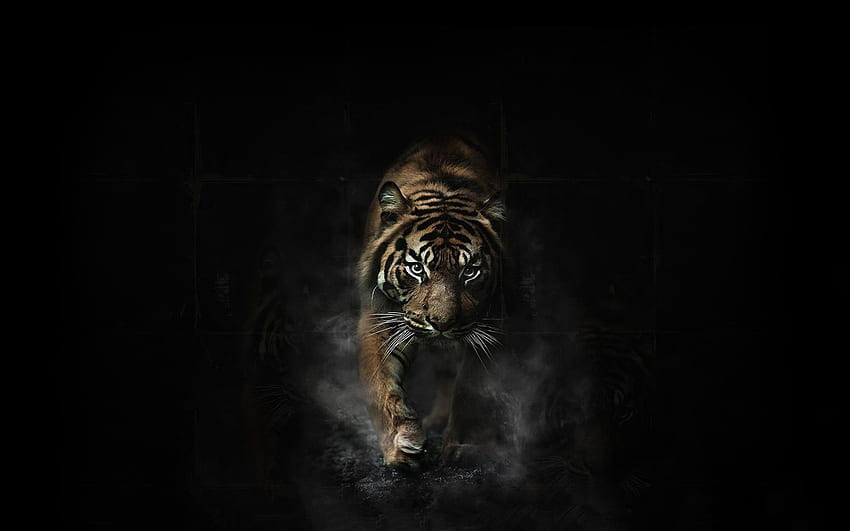 Tigre Oscuro en Vivo para Android fondo de pantalla