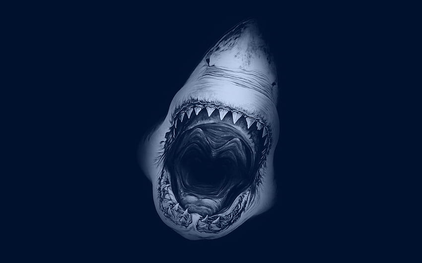 denti bocca aperta zanne di squalo Sfondo HD