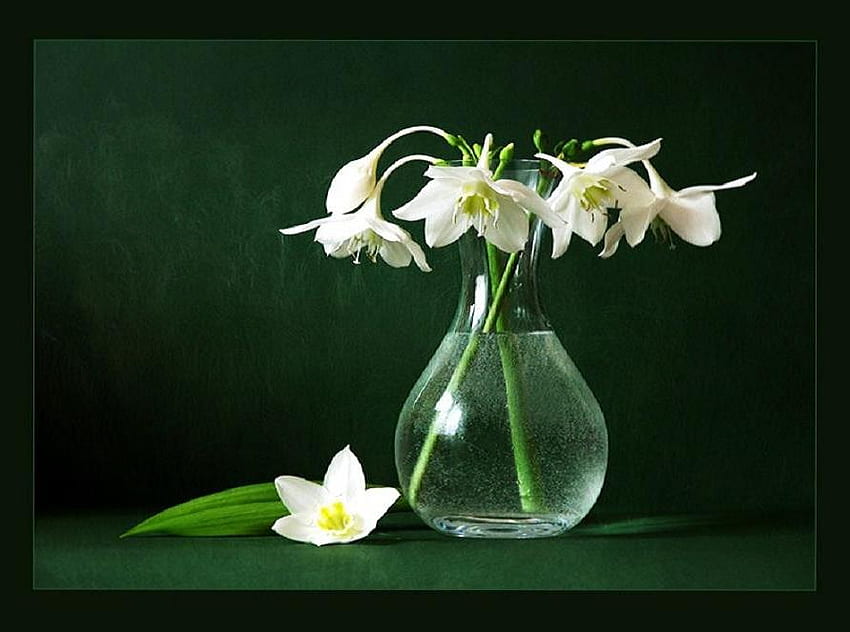 Natura w szkle, stół, biel, wazon, szkło, kwiaty Tapeta HD