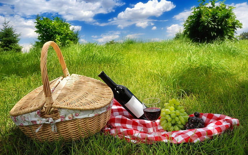 Picnic and Background HD wallpaper