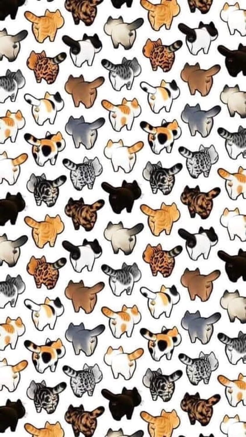 Cute Cat Pattern HD phone wallpaper