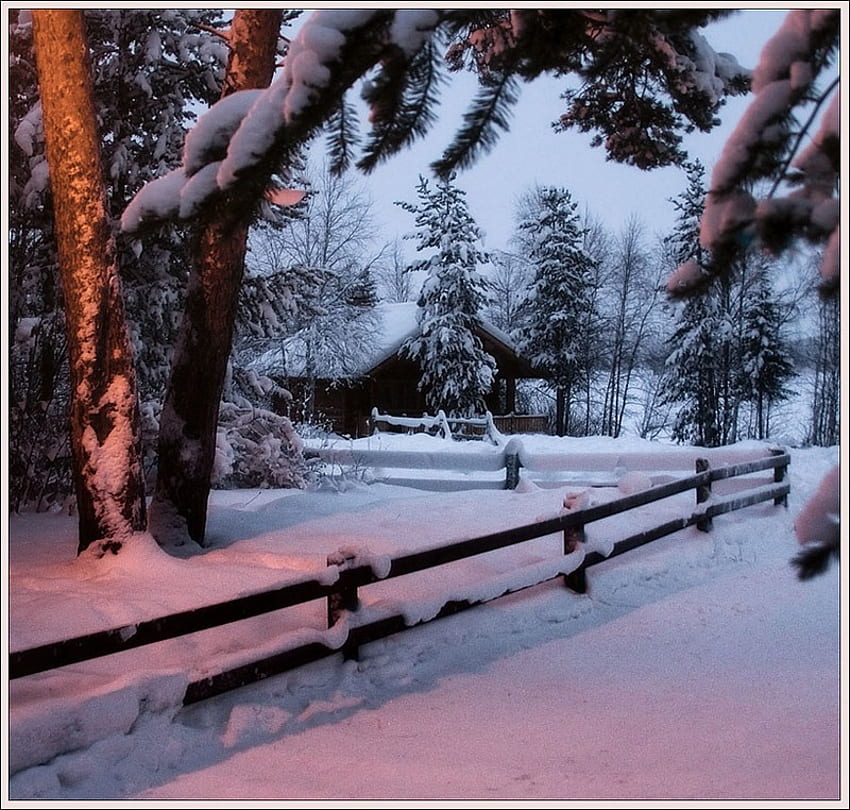 Retiro romántico, resplandor, registro, que, nieve, cerca, árboles, cabaña fondo de pantalla