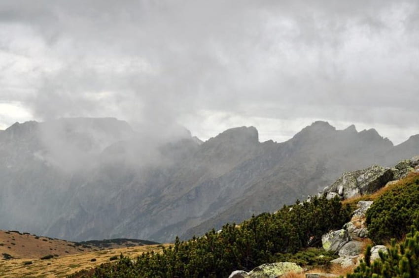 Rilla Mountian, graphy, mountain, fog, Bulgaria, clouds, trees, nature, sky HD wallpaper