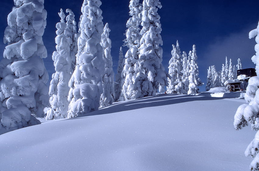 Зимен пейзаж, фон, снежен пейзаж HD тапет