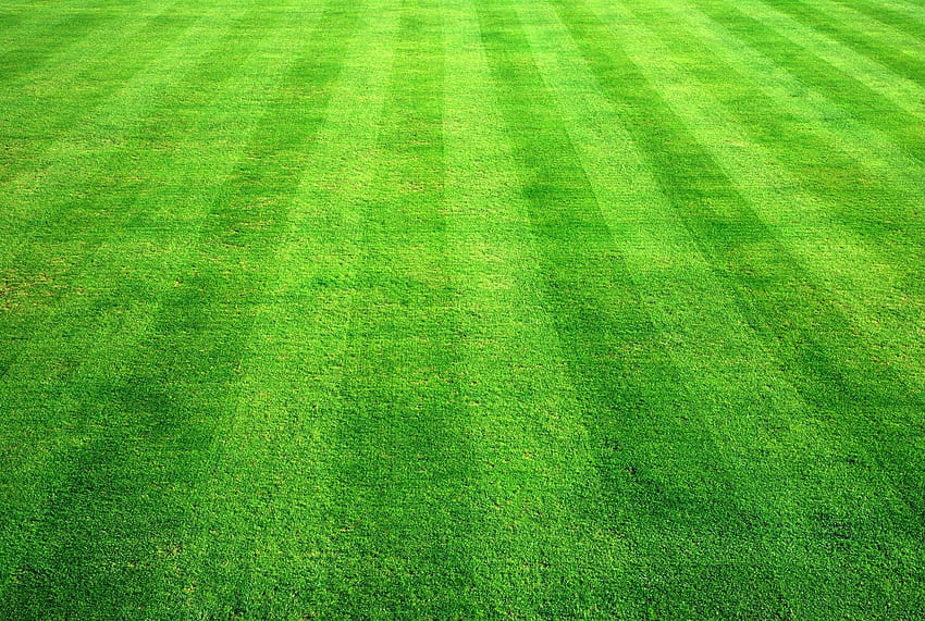 Fresh Cut Grass . Grass , Grass Green and Grass Block, Football Grass HD wallpaper