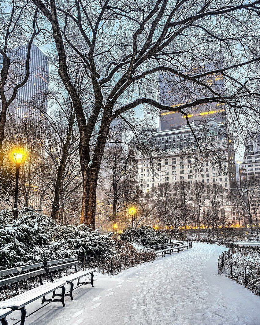 NewYorkCityFeelings on Twitter. New york snow, Nyc christmas, New york  christmas, Manhattan Winter HD phone wallpaper | Pxfuel