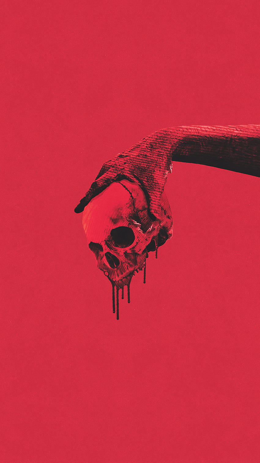 Red Deer Skull, Skull Head HD phone wallpaper