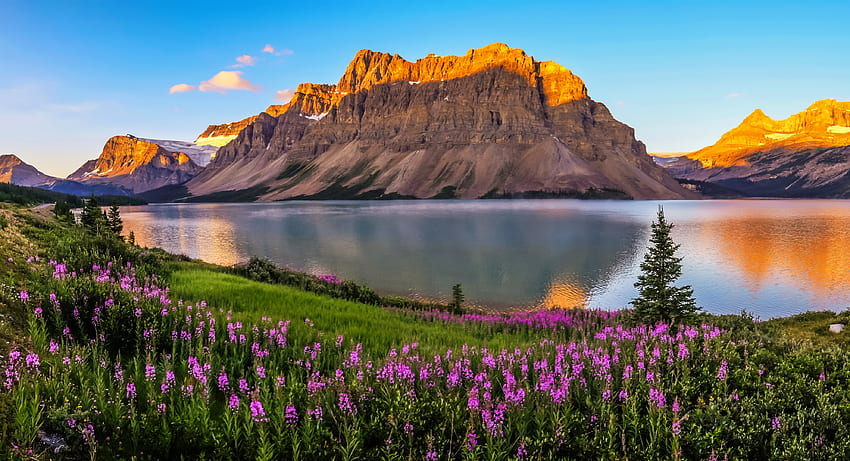 Park Narodowy Banff, Kanada, piękny, jezioro, góra, polne kwiaty, park narodowy, odbicie, Banff, widok Tapeta HD