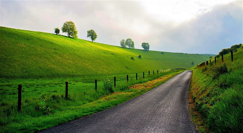 Road-in-Springtime, Road, Nature, Springtime, in HD тапет