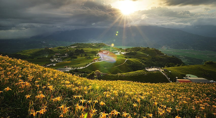 Hills and flower fields, hills, field, clouds, landscape, nature, sun, rays, weather, beauty, summer HD wallpaper