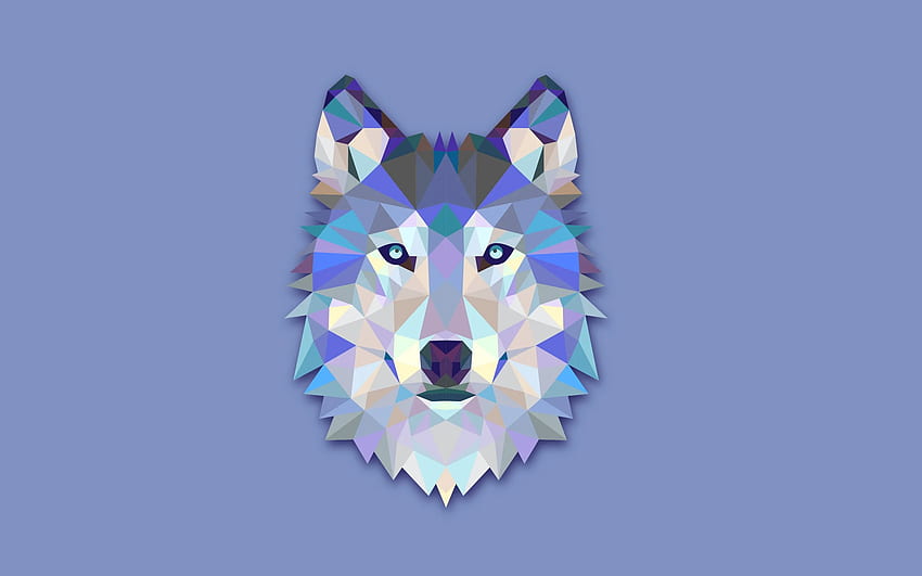 The Wolf's Head Abstract Digital Art is a . HD wallpaper