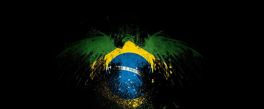 Adler-Flagge, Brasilien-Flagge HD-Hintergrundbild