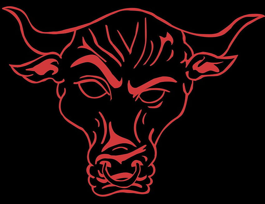 Narysowane byki wwe the rock - Ołówkiem iw kolorze narysowane byki wwe the rock, Bulls Logo Tapeta HD