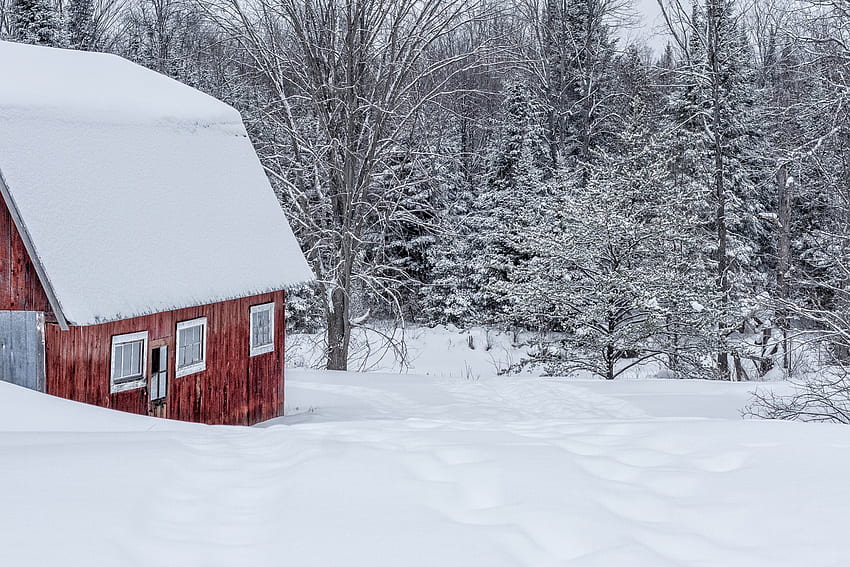 Winter, snowy, winter splendor, house, snow, trees, nature, cottage, mountains, splendor, winter time HD wallpaper