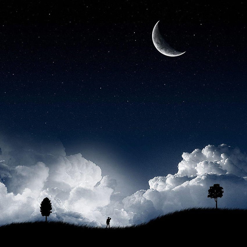 Moonlight Night, Moon Romance HD phone wallpaper