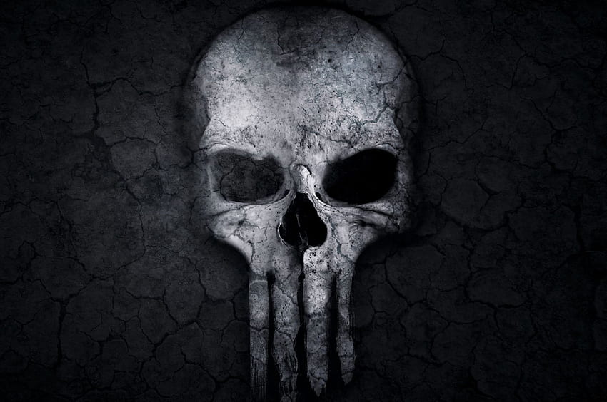 Punisher Skull Artwork Chromebook Pixel HD wallpaper