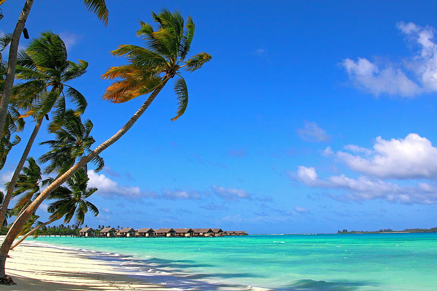 자연, 해변, 여름, 열대 지방, 몰디브 HD 월페이퍼