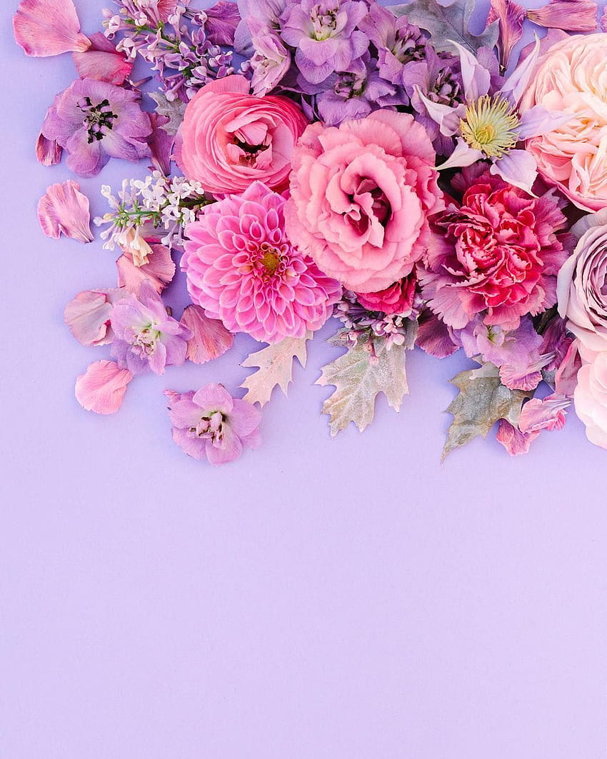 pink-and-purple-unicorn-floral-explosion-hd-phone-wallpaper-pxfuel