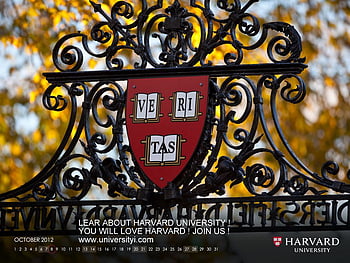 Harvard university HD wallpapers | Pxfuel