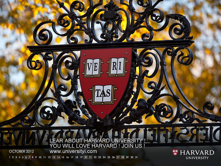 Harvard Law School. Uniwersytet Harvarda, studenci Harvardu, prawo Harvardu, Harvard Business School Tapeta HD