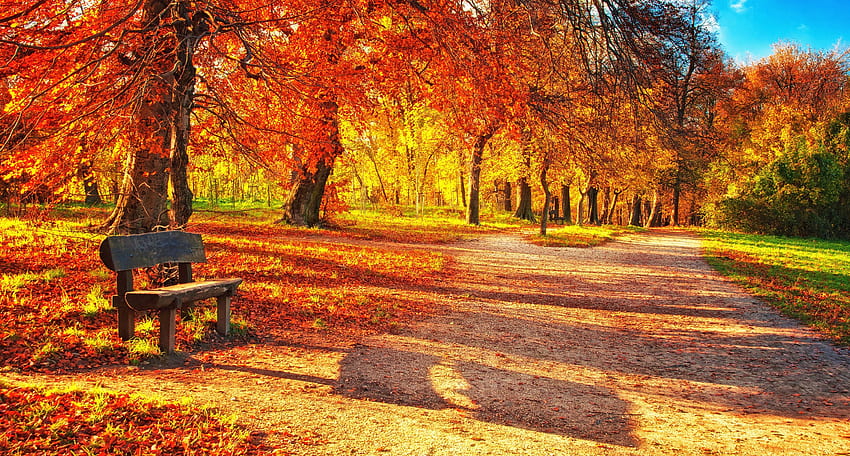 Jesienny park, ławka, liście, jesień, drzewa Tapeta HD