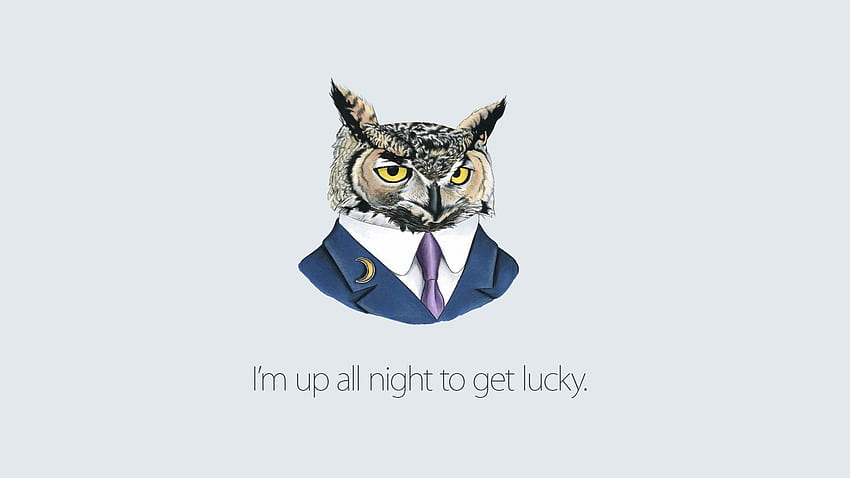 owl, art, inspiration , Vector , , and Background, Owl Artwork HD wallpaper
