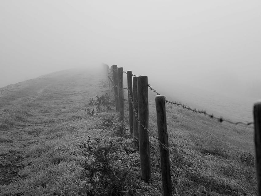 Black And White Fog Foggy Farm Mist . Best High Quality HD wallpaper