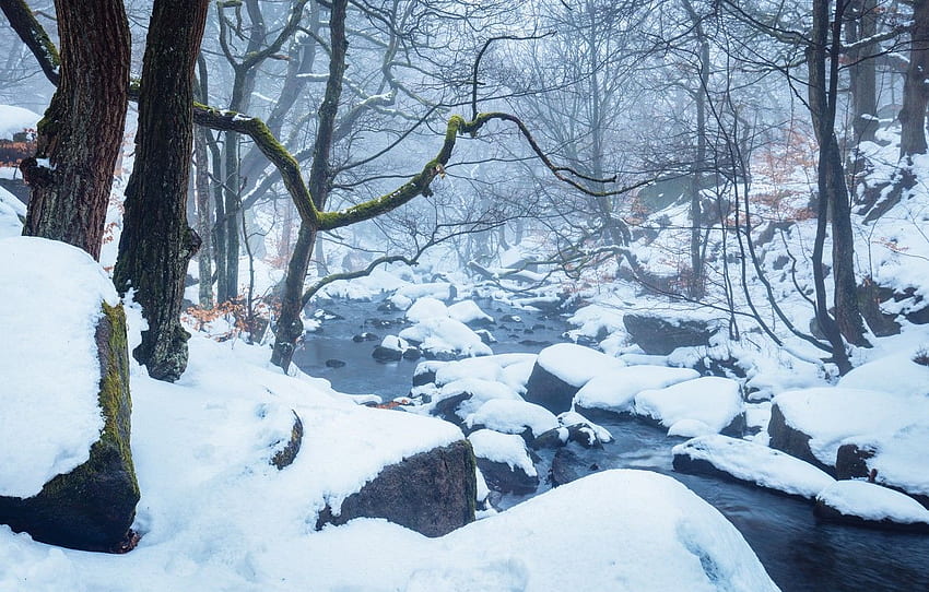 겨울, 눈, 스트림, 영국, 안개, 피크 지구, 섹션 природа HD 월페이퍼