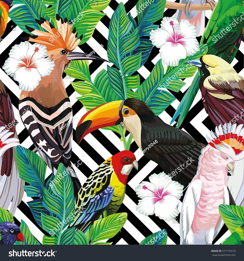 熱帯の鳥オオハシ、オウム、ヤツガシラ、ヤシの葉と白いハイビスカスの花をシームレスに組み合わせたもの。 幾何学的な背景, 熱帯の鳥, 鳥のプリント, 熱帯の鳥のアート HD電話の壁紙