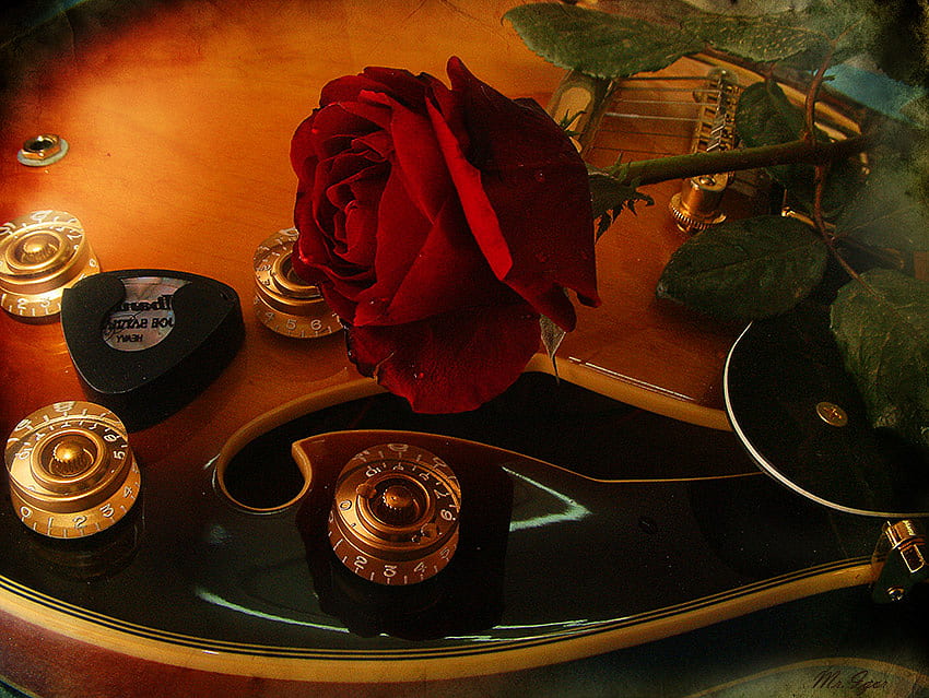 Роза и китара за HeartStrings, роза, изкуство, натюрморт, червено, китара, красиво HD тапет