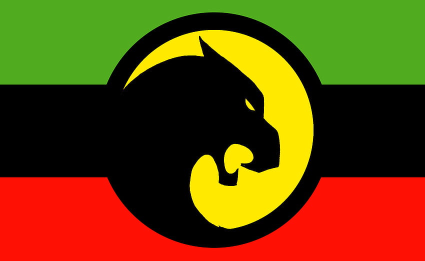Bandeira de Wakanda (Terra 1600).png, Black Power papel de parede HD