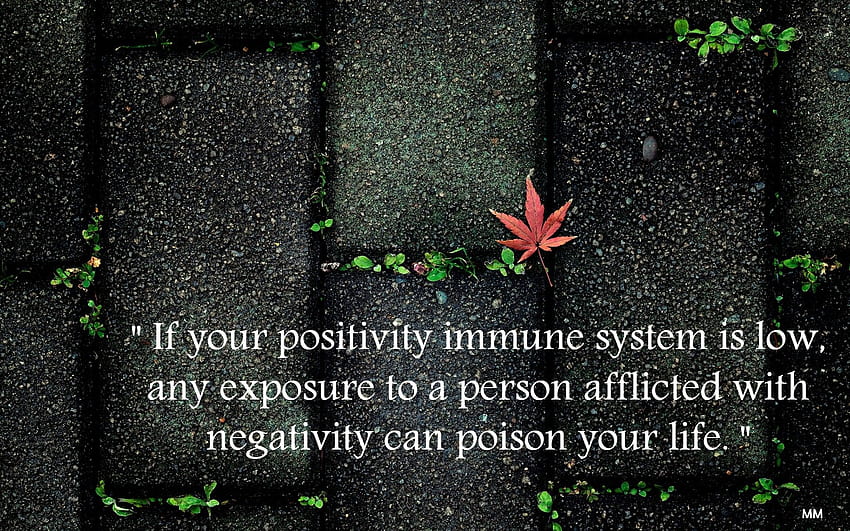 Flowers: Flowers Nature Words Immune Thoughts System Quotes Black, 16 9 HD wallpaper
