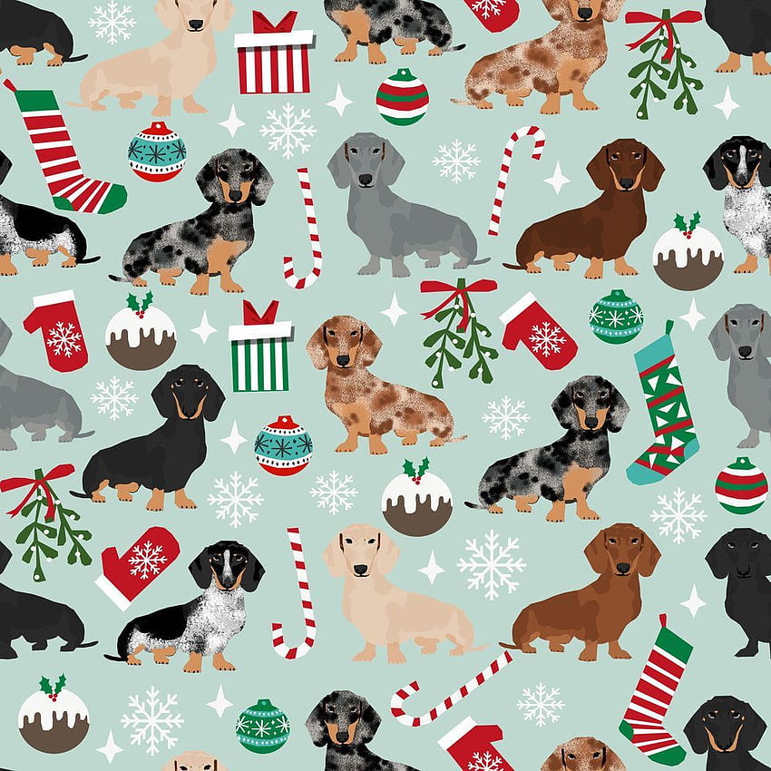 닥스훈트 크리스마스 원단 - Doxie Christmas Dachshunds Dog Xmas By Petfriendly - Holiday Pups 면 원단. 닥스훈트 크리스마스, 개, 개 배경 HD 전화 배경 화면