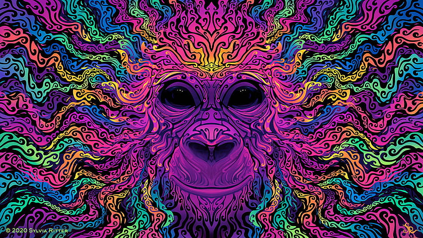 A groovy gorilla: , Gorilla Art HD wallpaper