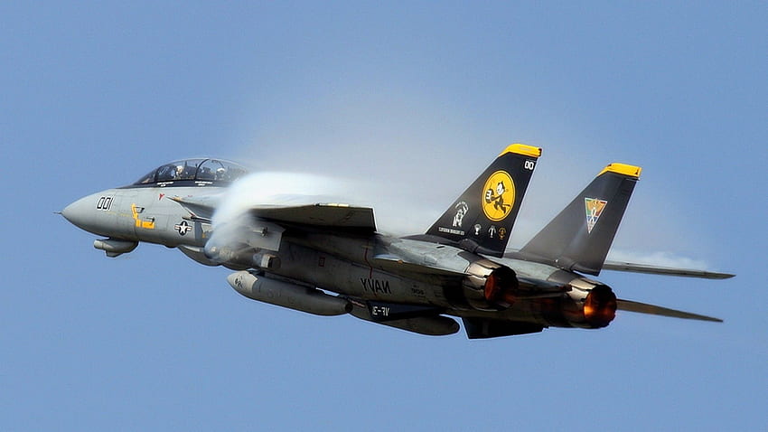 航空機 ジェット戦闘機 ミリタリー F 14 トムキャット []、モバイル、タブレット用。 F14 Tomcat を探索します。 F14 高画質の壁紙