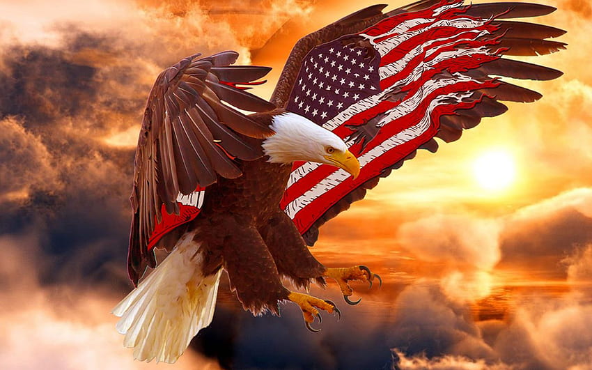 Bald Eagle - American Flag Bald Eagle - & Background HD wallpaper