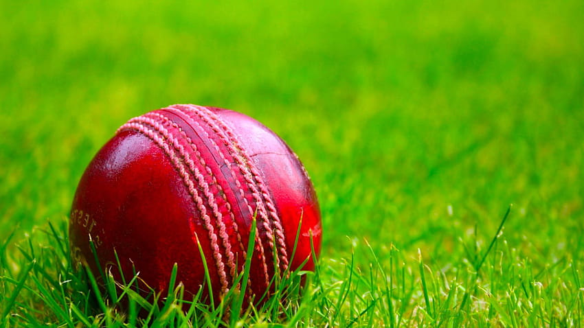 Cricket HD wallpaper