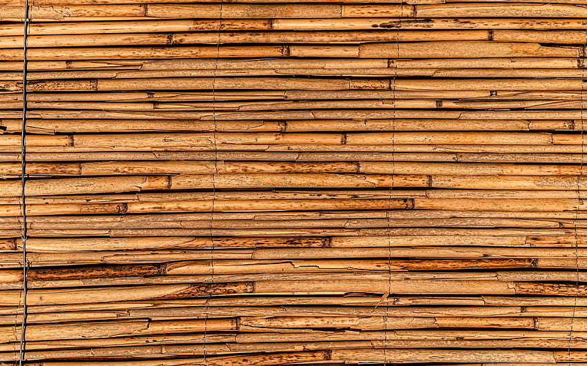 bamboo sticks, close-up, horizontal bamboo sticks, brown bamboo, bamboo canes, bambusoideae sticks, macro, background with bamboo, bamboo HD wallpaper