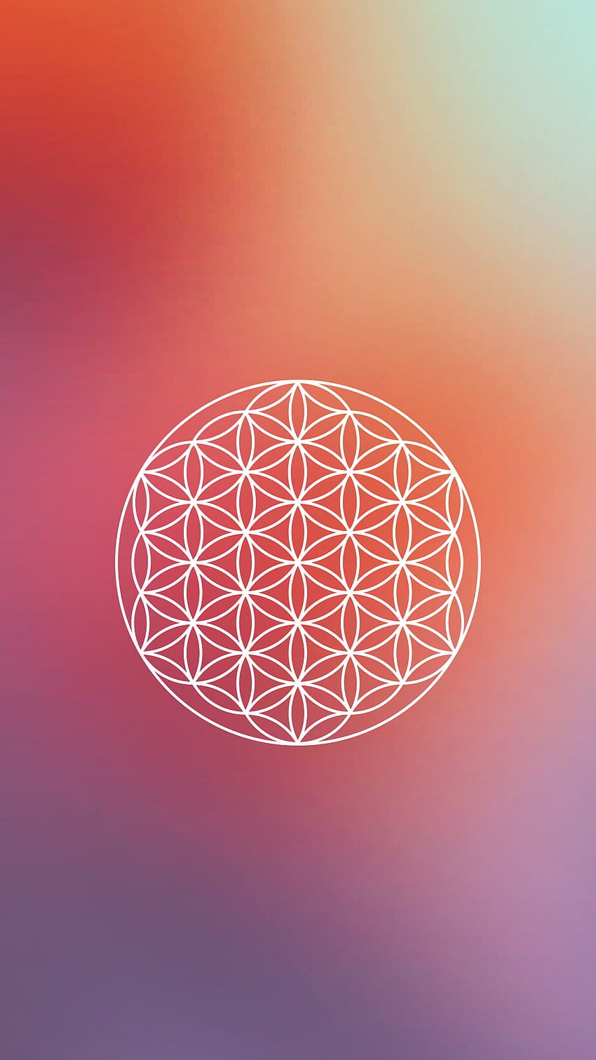 Flower of Life (30 + Background ) HD phone wallpaper