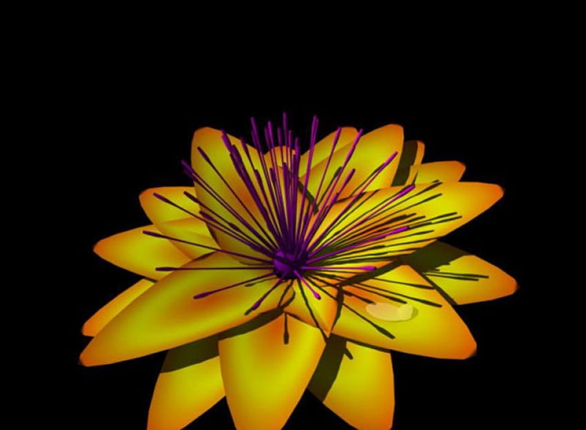 Yellow Flower, purple stamens, art HD wallpaper