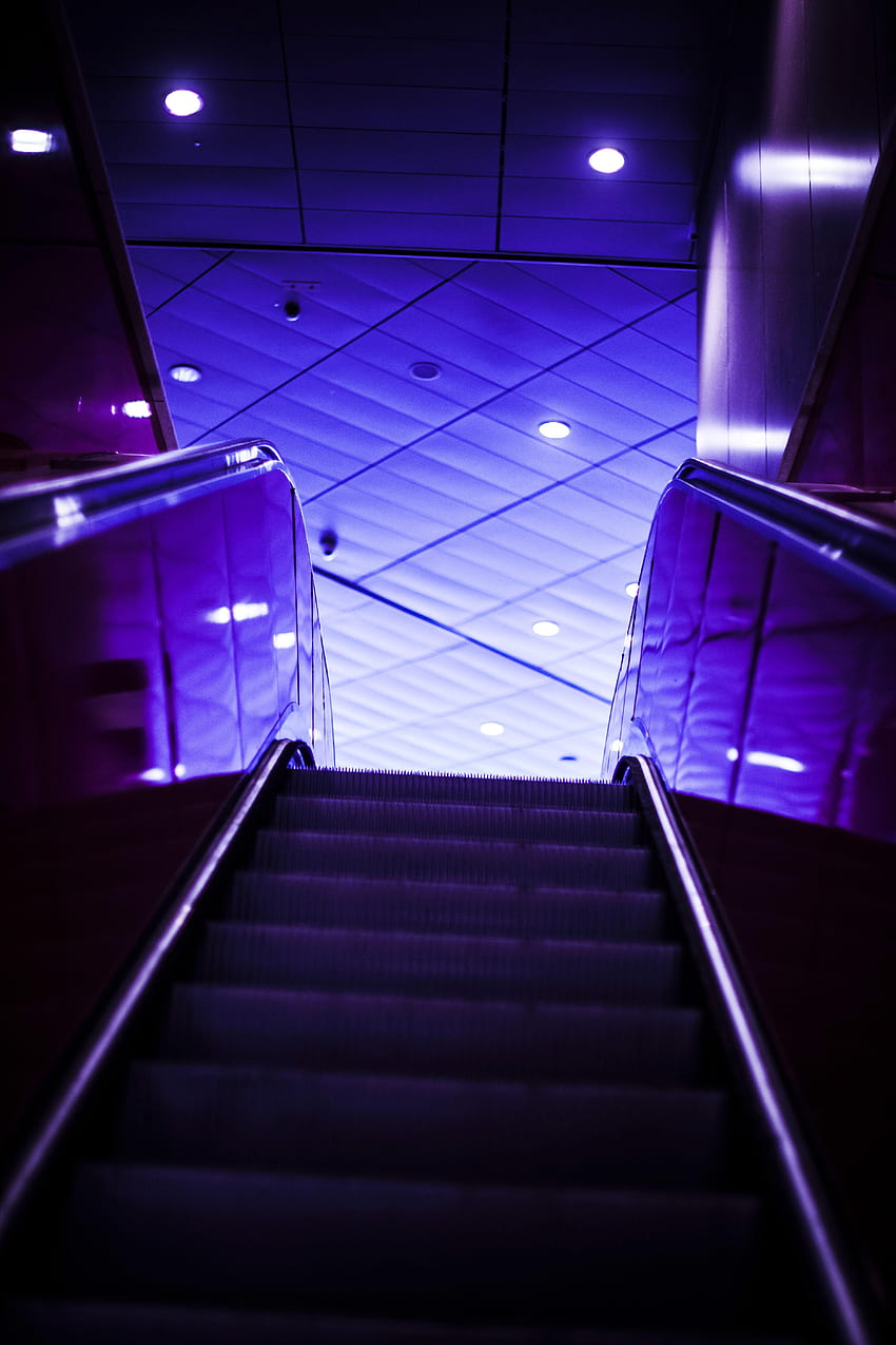 Violet, Dark, Backlight, Illumination, Stairs, Ladder, Purple, Escalator HD phone wallpaper