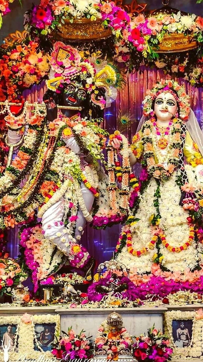 Radha Krishna, templo de Iskcon, iskcon, templo fondo de pantalla del teléfono