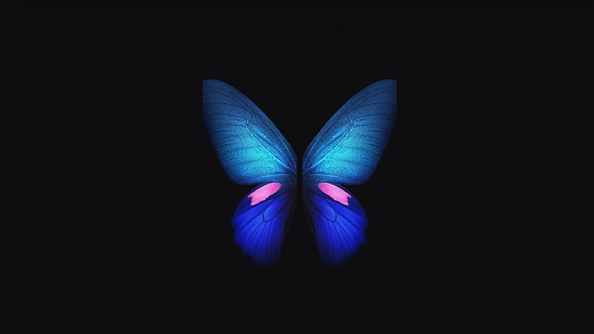Samsung galaxy fold, blue butterfly, minimal, art, dual wide, 16:9 ...