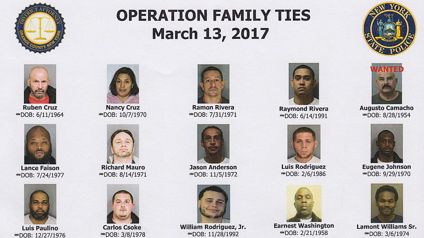 Operation Family Ties Fingers Vast Drug Network - Hudson Valley, programa de televisión Family Ties fondo de pantalla
