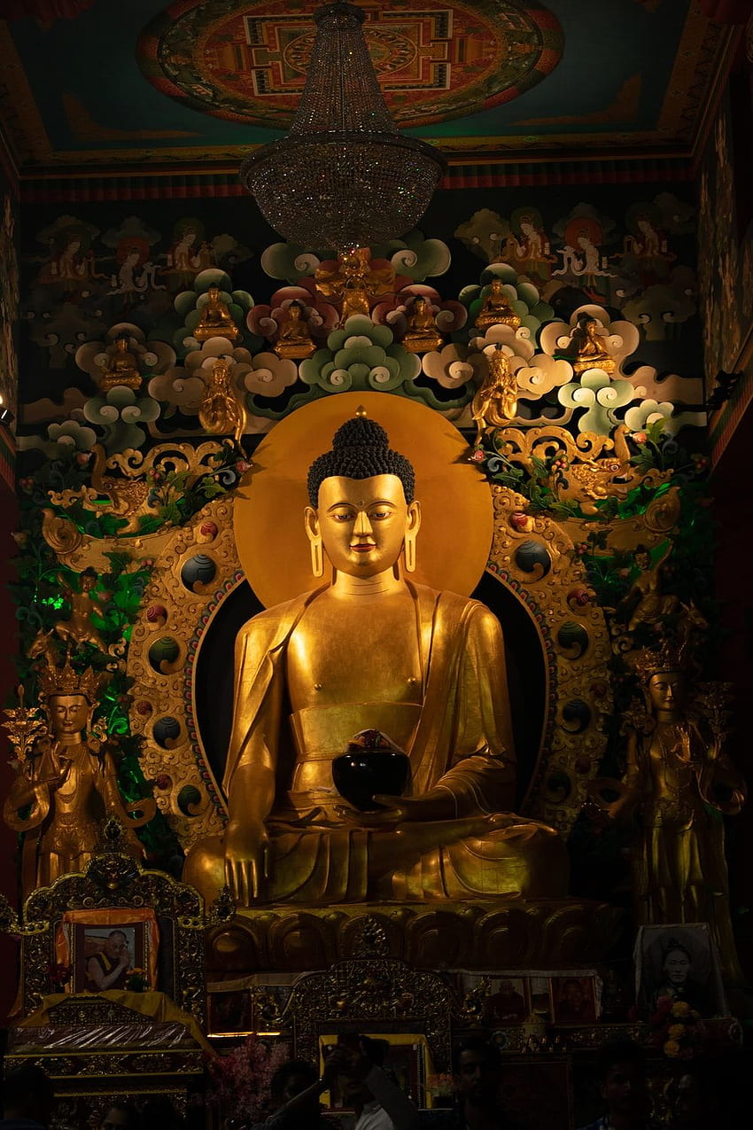 Senhor Buddha . & Estoque, Buda Gautama Papel de parede de celular HD