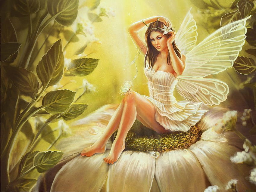 Fairy Archives, Cute Fairies HD wallpaper | Pxfuel