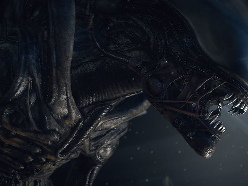 The original ending to Alien was far more terrifying and fatal than the one used, Alien Ripley HD wallpaper