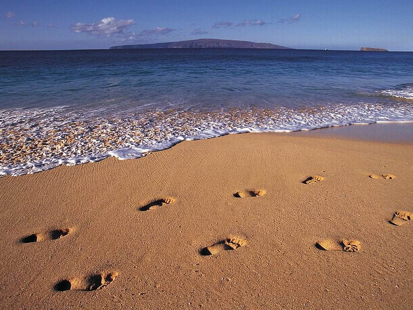 HD wallpaper: footsteps, sea, beach, land, sand, nature, water, footprint |  Wallpaper Flare